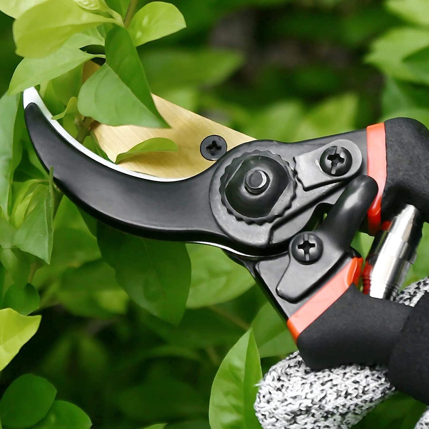Flower Cutter Stainless Steel 21 Cm Sharp Garden Shear