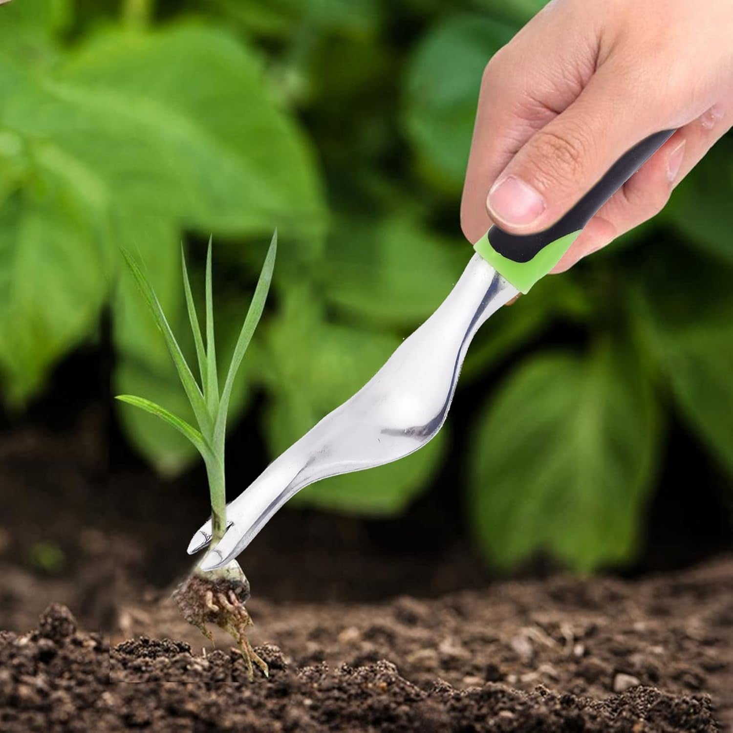Handheld cultivator for removing weeds and cultivating soil