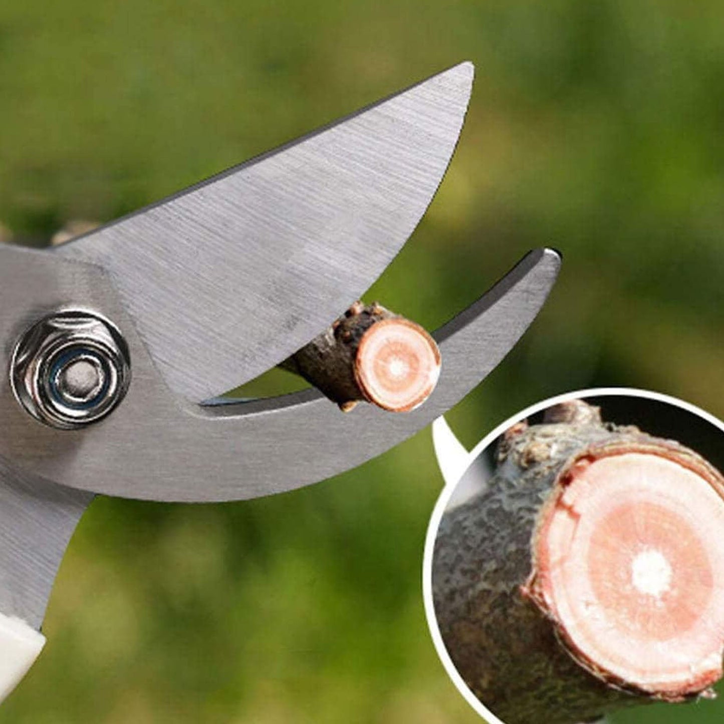 Flower Cutter Garden Scissors Stainless Steel Pruner